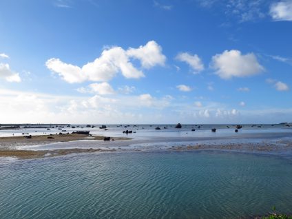 佐和田の浜!!!!