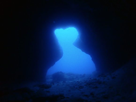 中ノ島ホール