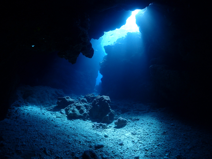 中の島チャネル