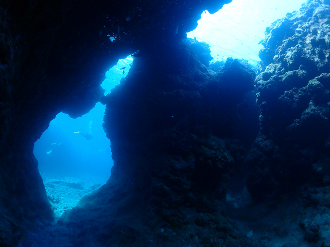 中の島チャネル