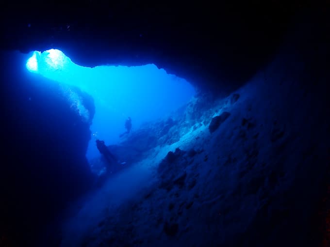 中の島ホール