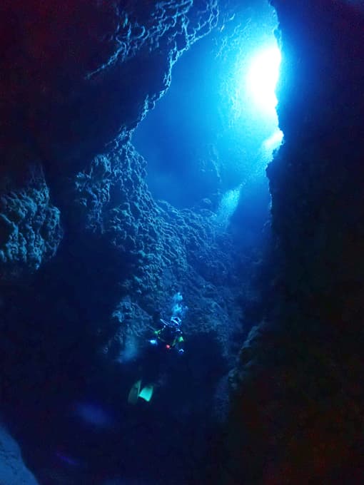 中の島ホール