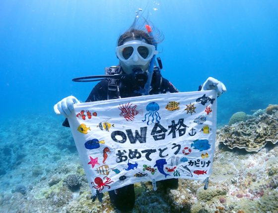 OW講習