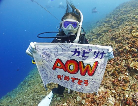 AOW講習