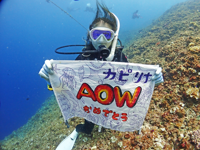 AOW講習