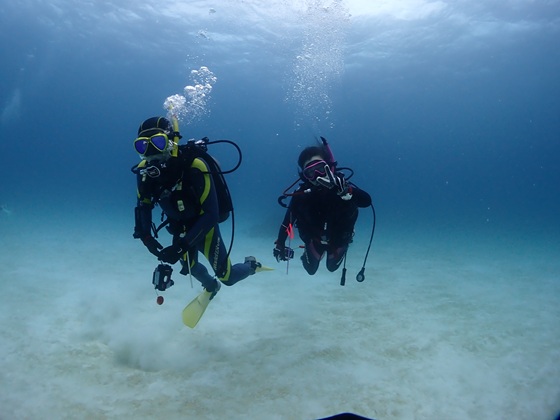 クリスタルパーク