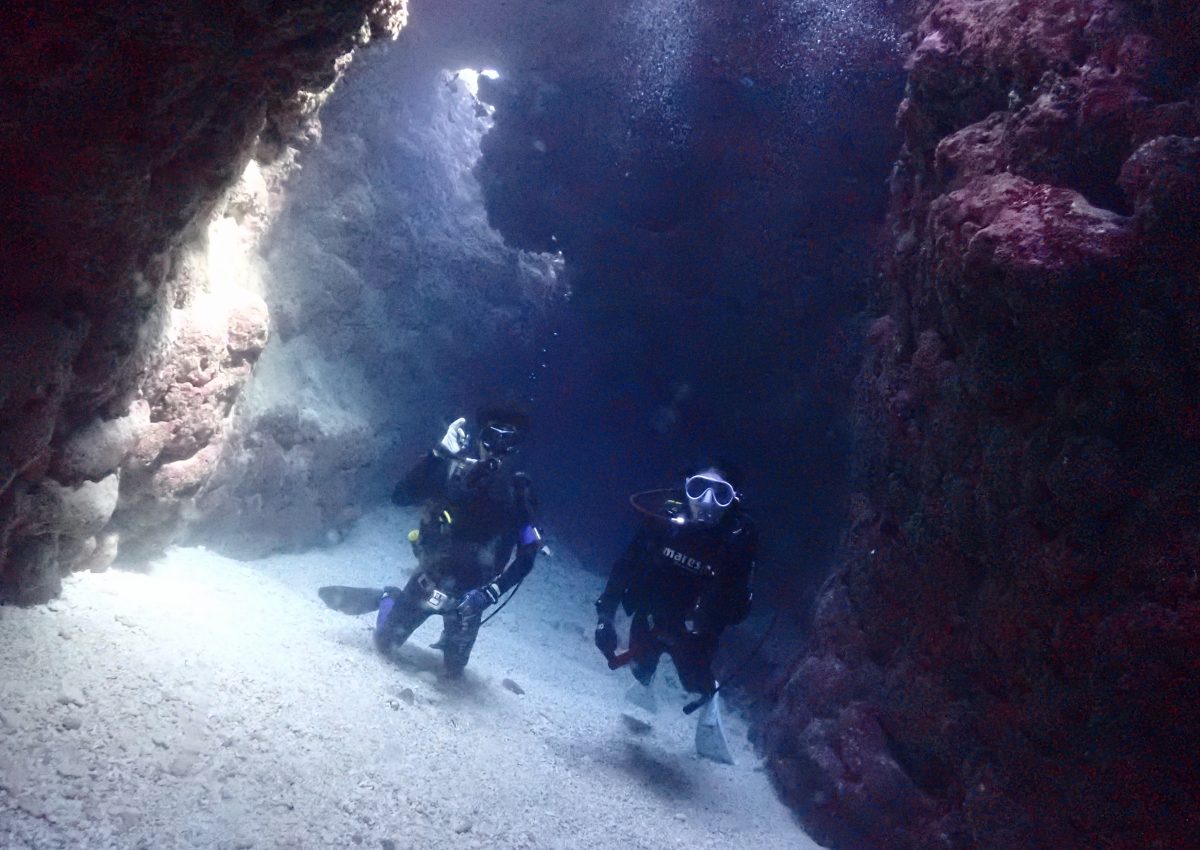 なるほど・ザ・ケーブ