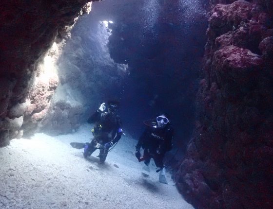 なるほど・ザ・ケーブ