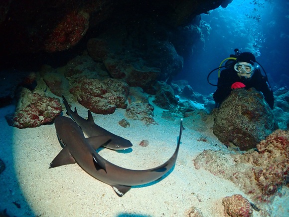 中ノ島チャネル