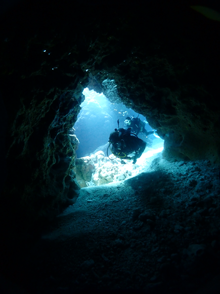 なるほど・ザ・ケーブ