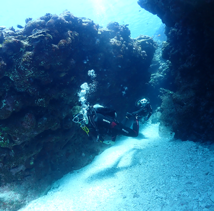 なるほど・ザ・ケーブ