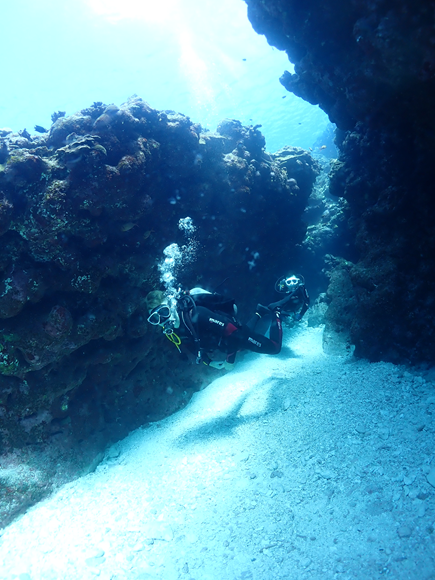 なるほど・ザ・ケーブ