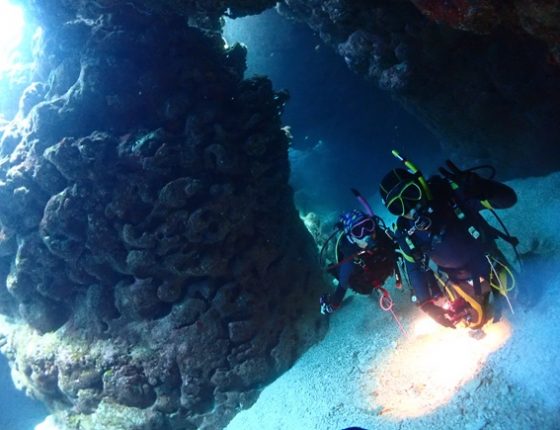 なるほど・ザ・ケーブ