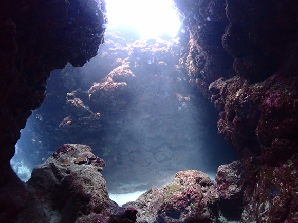 なるほど・ザ・ケーブ