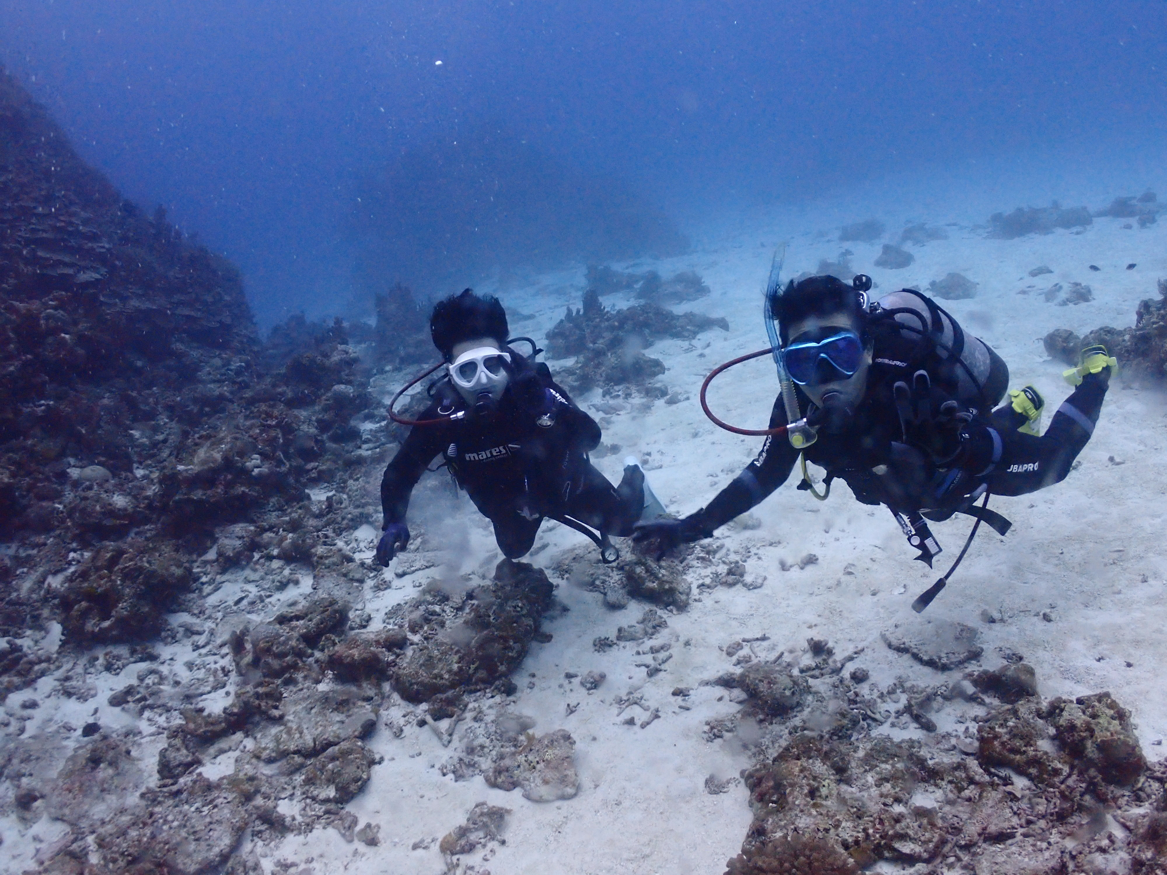ロックビューティー
