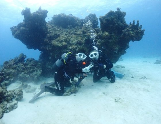 ロックビューティー