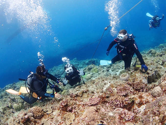 体験ダイビング