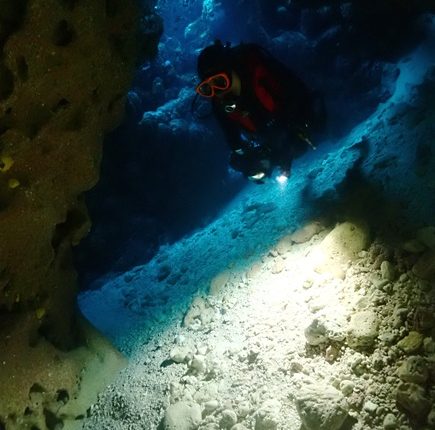 なるほど・ザ・ケーブ