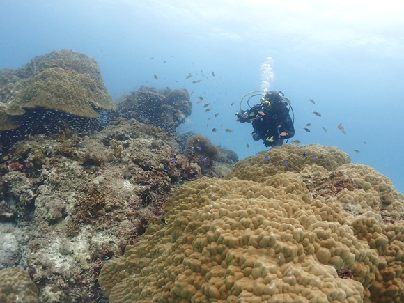 クリスタルパーク