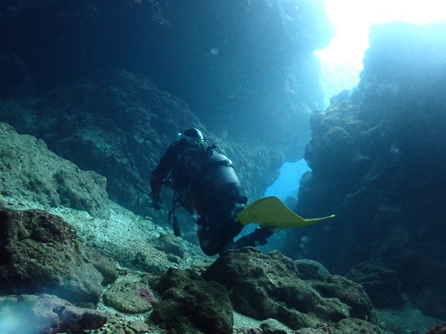 中の島チャネル