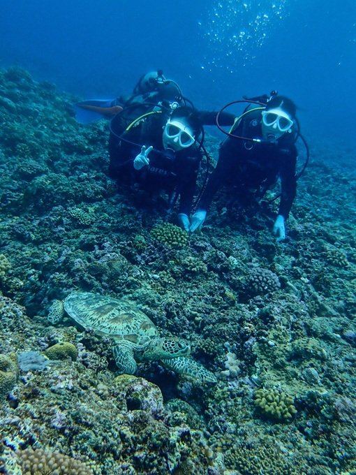 体験ダイビング