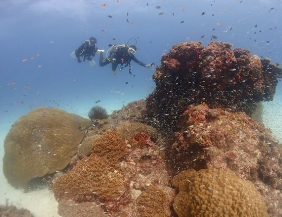 クリスタルパーク