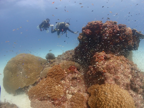 クリスタルパーク