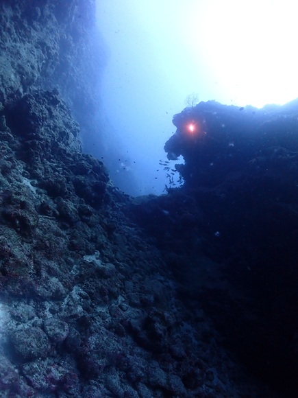 ライオンロック