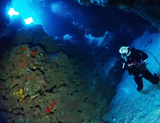 なるほど・ザ・ケーブ