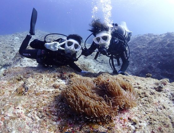 体験ダイビング