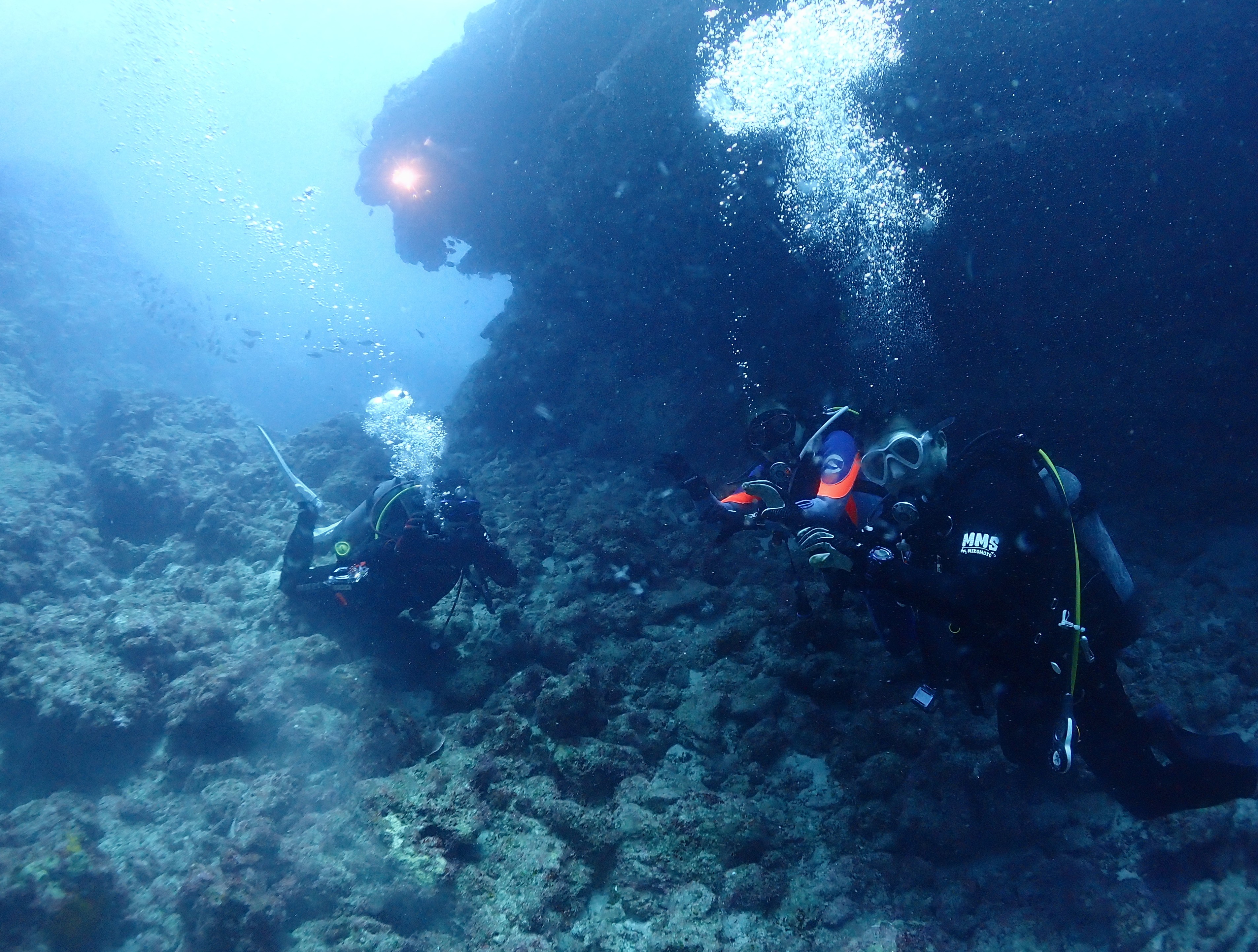 ライオンロック