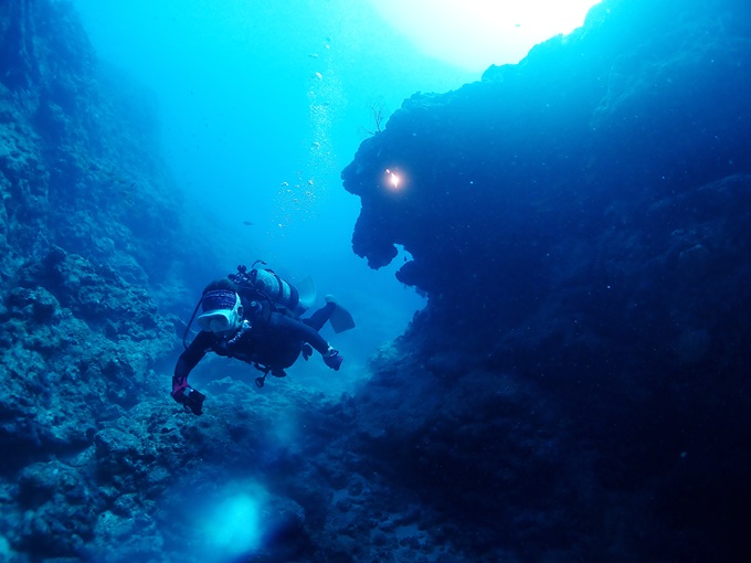 ライオンロック