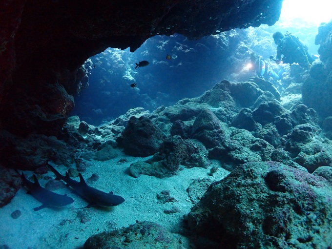 中ノ島チャネル