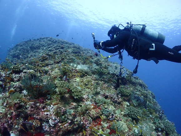 オーバーハング