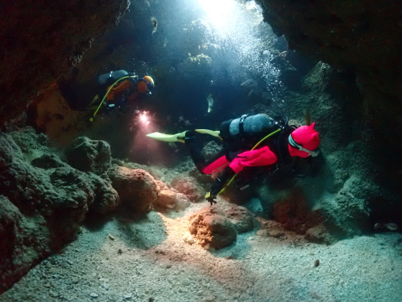 なるほど・ザ・ケーブ