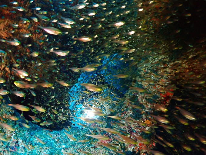 オーバーハング