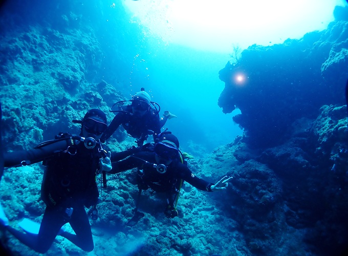 ライオンロック