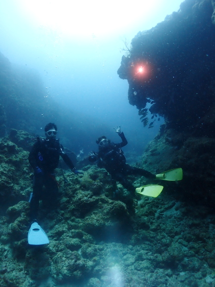 ライオンロック