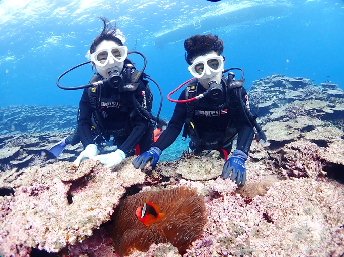 体験ダイビング