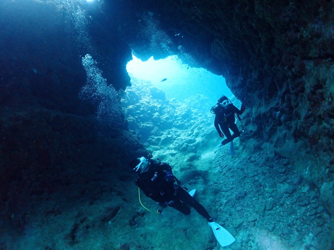 中の島チャネル