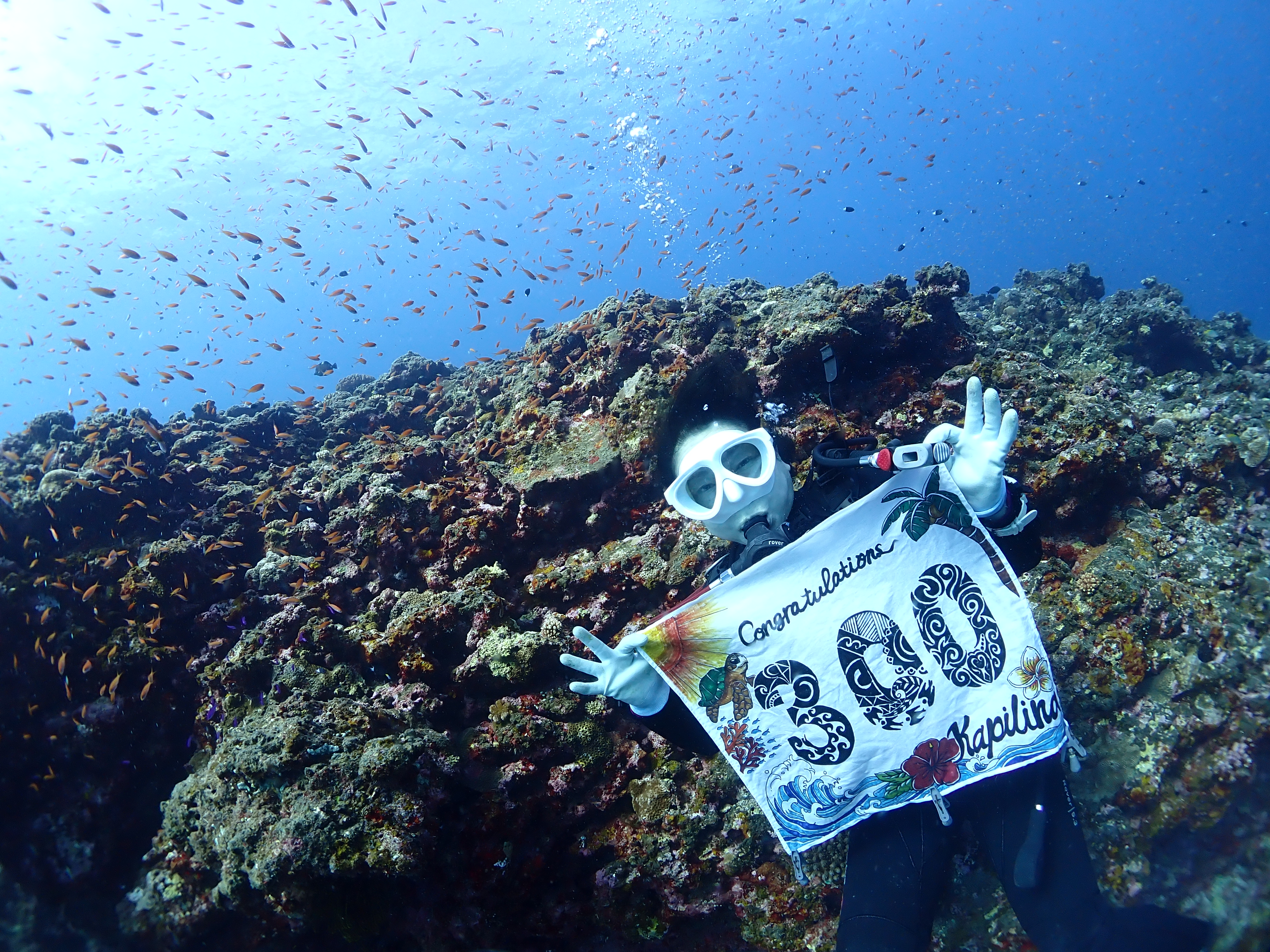 ３００本